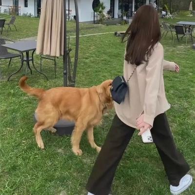 红杏